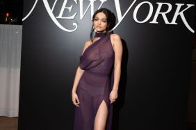 Rachel Zegler's Completely Sheer Dress Comes With High Slit