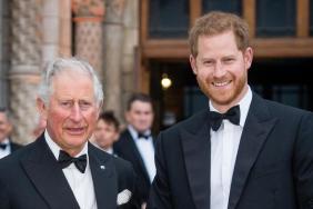 King Charles prnce harry