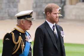 Prince Harry Said This About His Kids in Plea to King Charles — Report