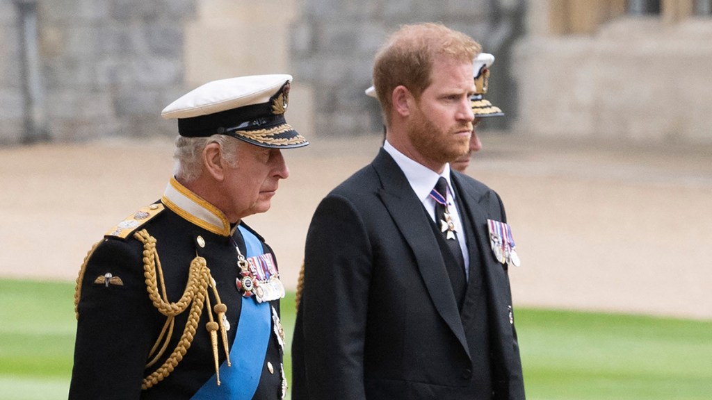 Prince Harry Said This About His Kids in Plea to King Charles — Report