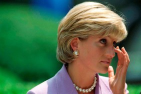 Princess Diana secret files