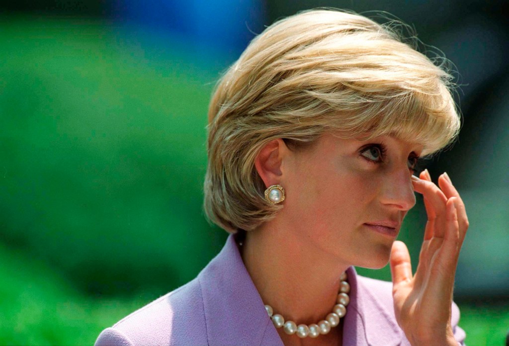 Princess Diana secret files