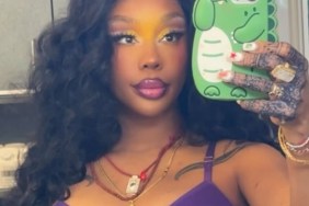 SZA Posing in Purple Lingerie Will Make You Look Twice