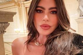 Sofia Vergara Posing in Daring Dress Will Make You Look Twice