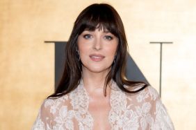 Dakota Johnson Wearing Bra Top After Gym Is Hard to Ignore