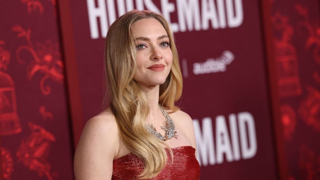 Amanda Seyfried's High Slit Dress Is Party-Ready