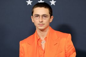 Timothée Chalamet Pulls off Insane Stunt on This Las Vegas Marvel