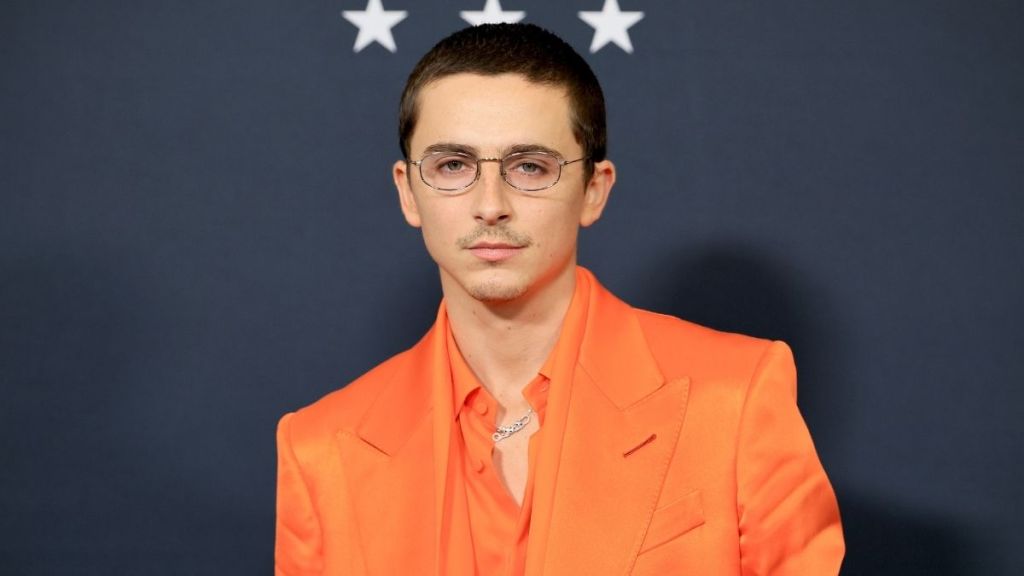 Timothée Chalamet Pulls off Insane Stunt on This Las Vegas Marvel