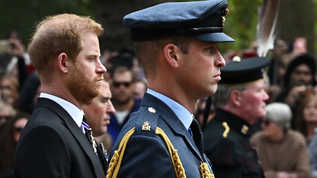 Prince Harry’s Response to Allegations He 'Stole' Brother’s Title — Report