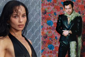 Zoe Kravitz & Harry Styles' Life in Rome Hints at Something More — Source