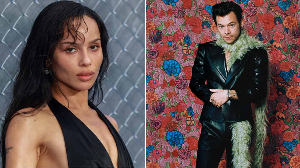 Zoe Kravitz & Harry Styles' Life in Rome Hints at Something More — Source