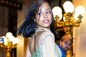 Tyla's Saree-Inspired Fit With Bra Is Completely Sheer