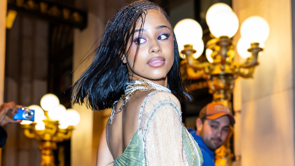 Tyla's Saree-Inspired Fit With Bra Is Completely Sheer