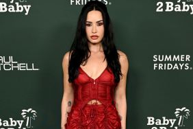 Demi Lovato's Sheer Corset Dress Is Your Early Christmas Gift