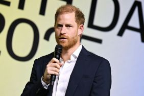 Prince Harry To Create ‘A Separate Royal Ecosystem’ — Source