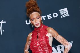 Winnie Harlow's $6K Raisa Vanessa Gown Is Festive Gone Bold