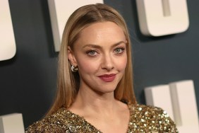 Amanda Seyfried Pauses Before Answering Why She Rejected This Marvel Role