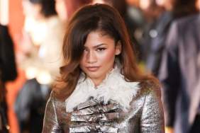 Zendaya Flaunts Engagement Ring but Not From Tom Holland