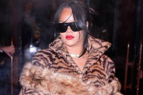 Why Rihanna Is Delaying Putting Out New Album — Source