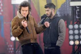 Zayn Malik Branded ‘Jealous’ Amid Alleged Harry Styles Tour Price Dig