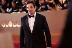 Benicio Del Toro Almost Missed Out on This Oscar-Nominated Movie