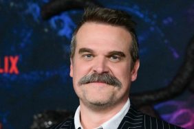 David Harbour