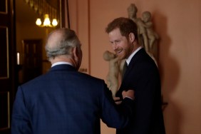 King Charles and Prince Harry