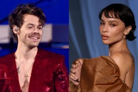 Harry Styles' Alleged Girlfriend Thinks He's Her 'Soulmate' — Source