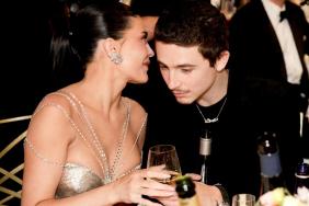 Timothee Chalamet Praising Kylie Jenner Dubbed ‘Stupid’ by This Celebrity