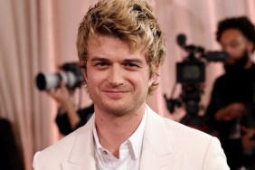 Stranger Things' Joe Keery Draws Mixed Reaction For His New Hair