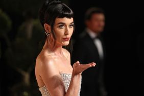 Katy Perry Winks at Justin Trudeau To Show Support in Viral Video