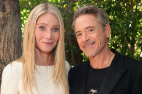 Robert Downey Jr. Roasted Gwyneth Paltrow for This Reason