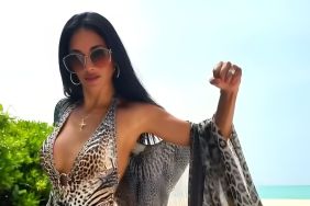 Nicole Scherzinger Raises Temperature in Backless Swimsuit