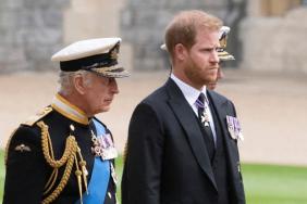 Prince Harry and King Charles