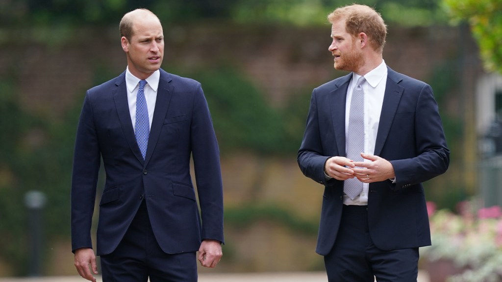 Prince Harry's Next Move Might Set Prince William Off — Source