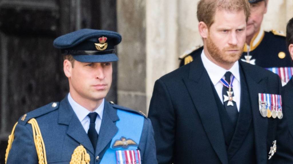 Prince William & Prince Harry Are ‘Worlds Apart,’ Says Royal Author