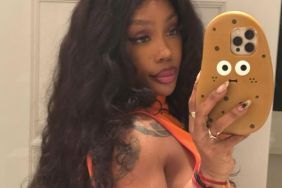 SZA’s White Thong Mirror Selfie Is Hard to Look Away From
