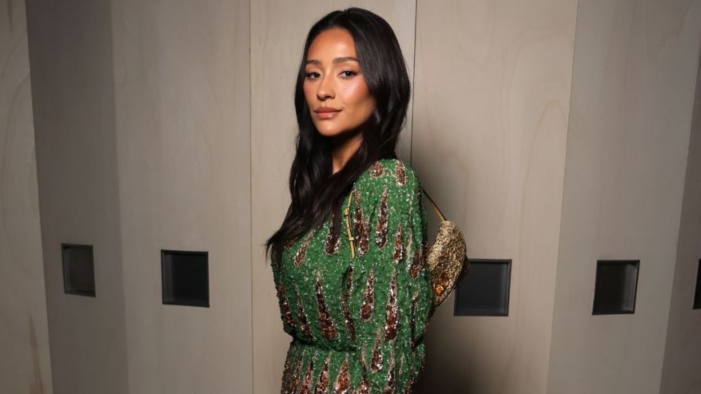 Shay Mitchell Stuns in Sheer Valentino Miniskirt & Sequin Top