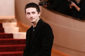 Timothée Chalamet Turned 'Mature' Because of His Relationship — Source