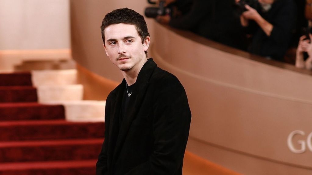 Timothée Chalamet Turned 'Mature' Because of His Relationship — Source