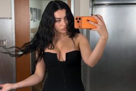 Charli XCX Layers Bra With Cropped Sweater in New Photo
