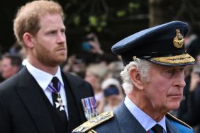 Prince Harry Hopes King Charles Does This for His Kids — Source