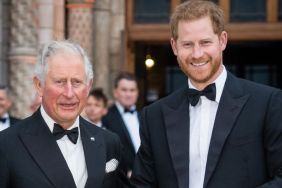 Why Prince Harry Reunion ‘Matters Deeply’ To King Charles — Source