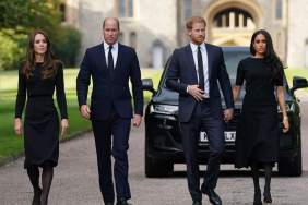 Prince Harry’s Remark on Prince William & Kate Middleton’s Kids Upset Them — Expert