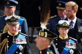 King Charles Faces Dilemma Over Choosing Between ‘Warring’ Sons — Expert