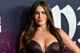 Sofia Vergara's Strapless Corset Dress Is Minimally Bold for Premiere