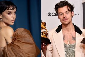 Zoe Kravitz Feels Like She's Living a 'Dream' With Harry Styles — Source