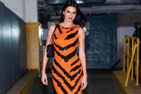 Kendall Jenner's Sequined Chanel Dress Looks Like Tiger Stripes