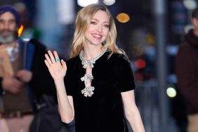Amanda Seyfried's Valentino Minidress Is Adorned With Little Bows