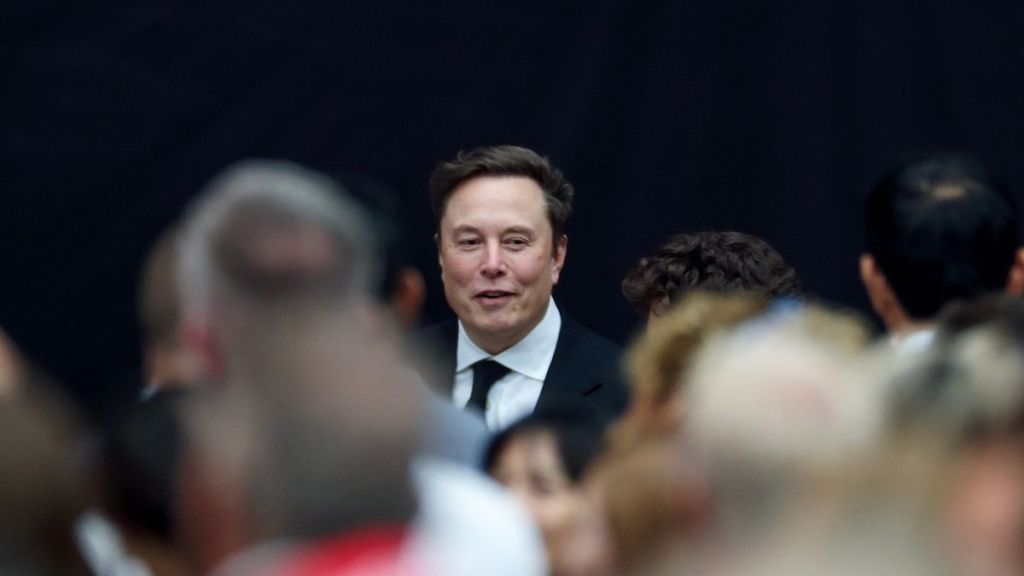 Pop Singer Says She Hated Elon Musk 'Before It Was Cool'